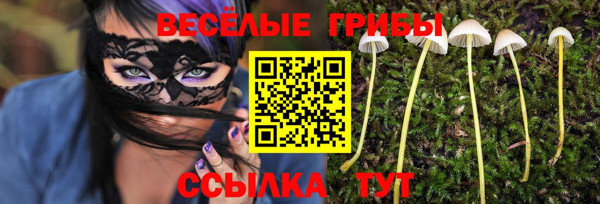 Псилоцибиновые грибы MAGIC MUSHROOMS Сланцы