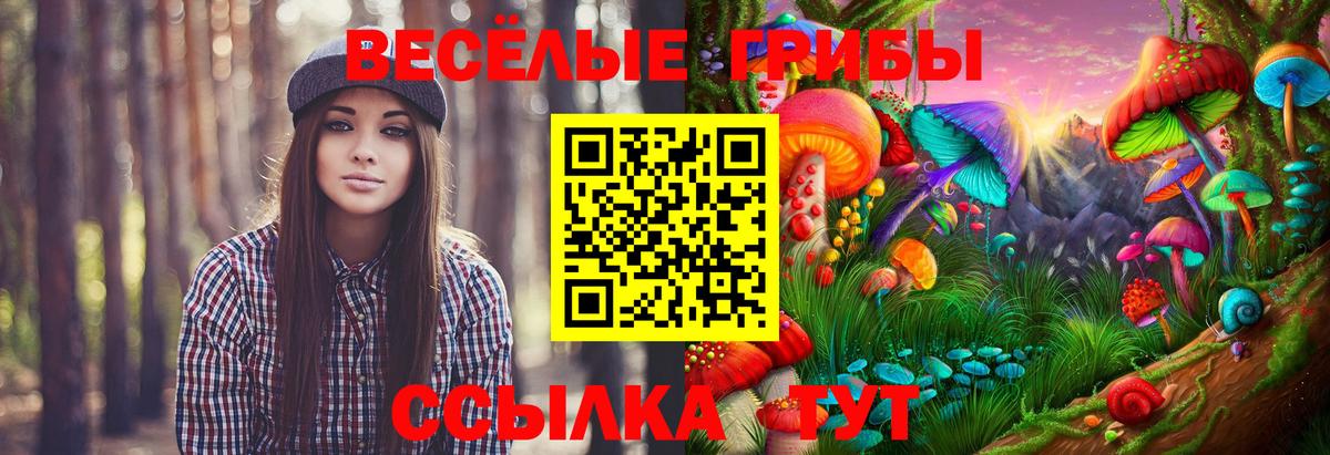 Сланцы  Галлюциногенные грибы Magic Shrooms  Вход с VPN 